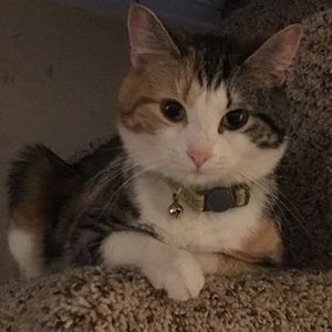 Meet your Posher, Tamika